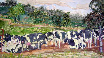 Necklaced Cow