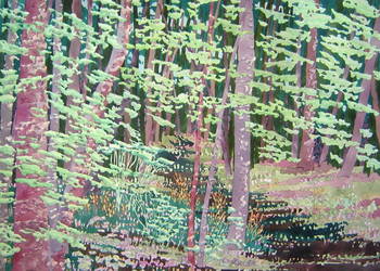Northwoods
