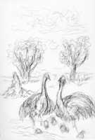 Ostrich Family