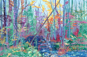 Pool in the Forest