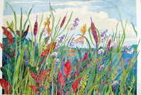 Porter Pond -SOLD