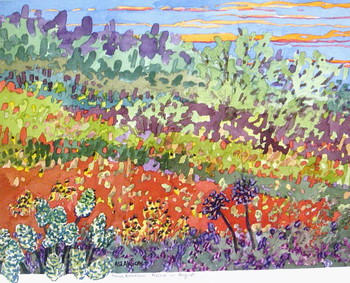 Prairie in Summer