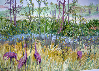 Sandhills