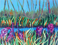 Sandhills By Stream