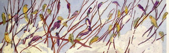 Snow Birds