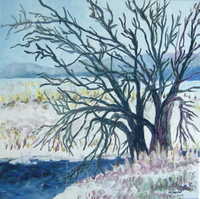 Snowy Field