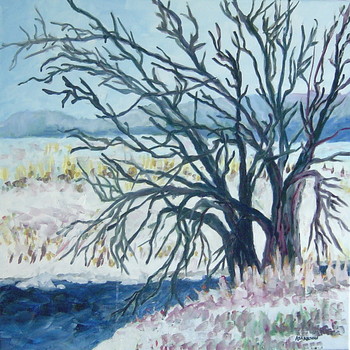 Snowy Field