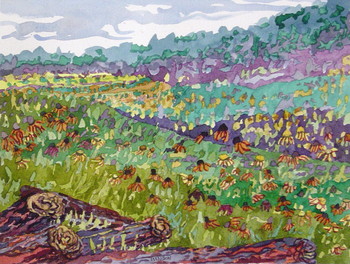 Summer Prairie