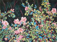 Wild Roses Redux