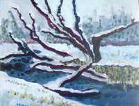 Winter Creek