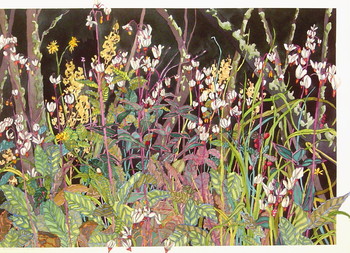 Wood Edge in May