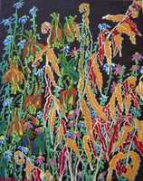 Ferns and Columbine