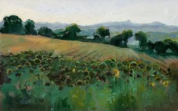August Haze