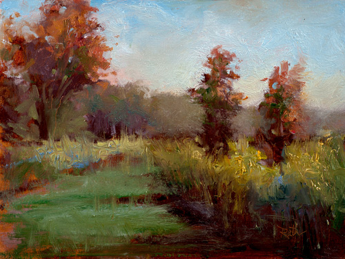 Open Lands