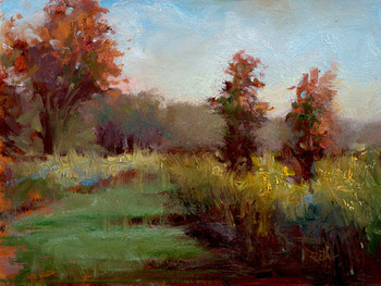 Open Lands