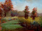 Open Lands