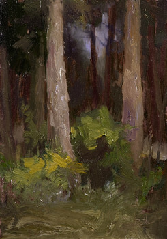 Woods