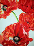 Red Poppies No. 2