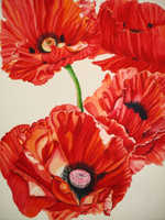 Red Poppies No. 1