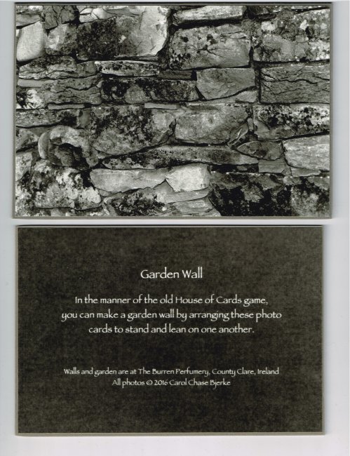 Garden Wall, the boxed set (detail showing photo and text cards)