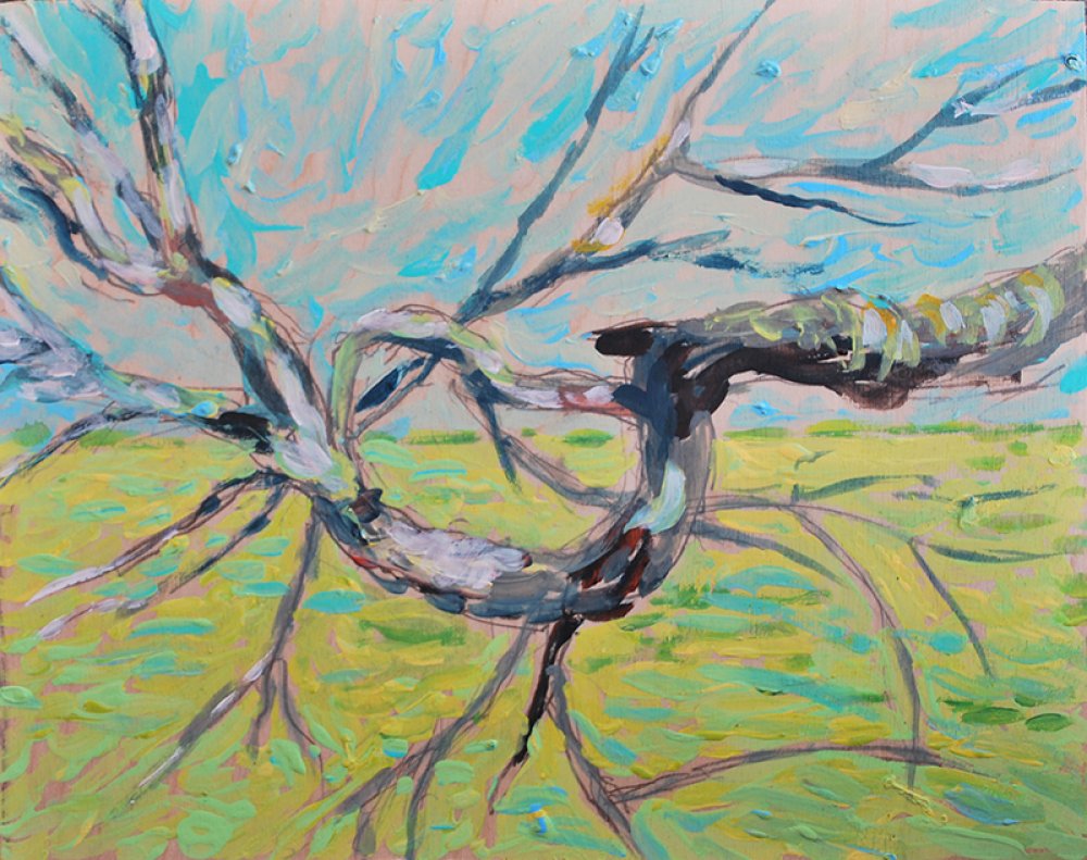Branch