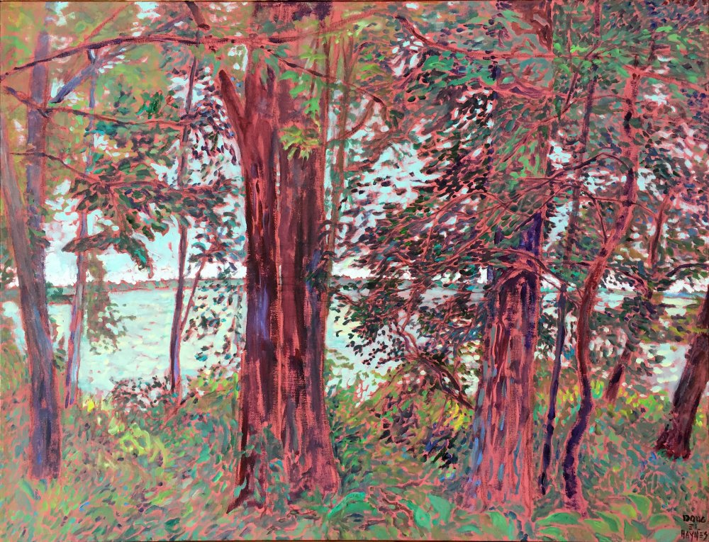 Cherokee Marsh