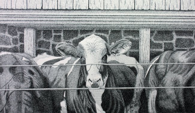 4 Cows