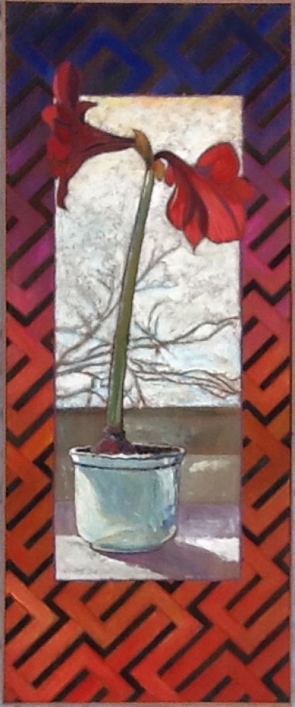 Amaryllis