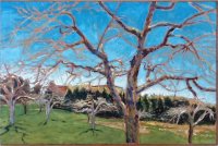 Apple Tree with Blue Sky