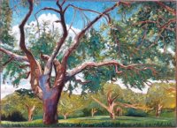 Apple tree with purple trunk