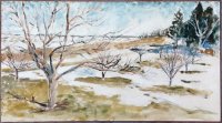 Apple Trees in Winter