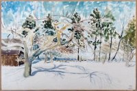 Apples in Winter