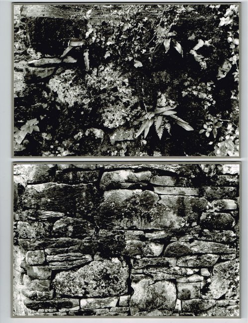 Garden Wall, the boxed set (detail showing photo cards)