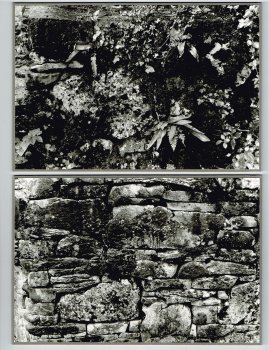 Garden Wall, the boxed set (detail showing photo cards)