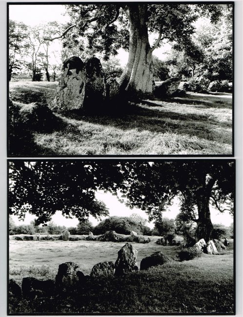 Stone Circle, the boxed set (detail showing photo image cards)