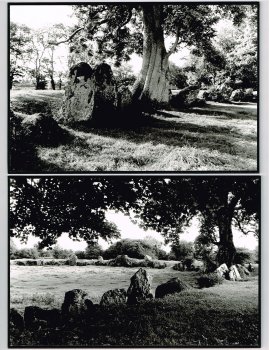 Stone Circle, the boxed set (detail showing photo image cards)