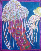Chrysaora Jelly