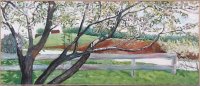 Crab Apple, Sold
