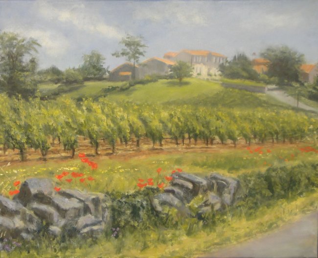 European Vineyard
