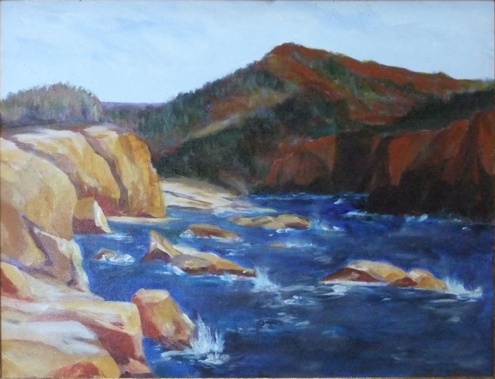 A Cove for Seals