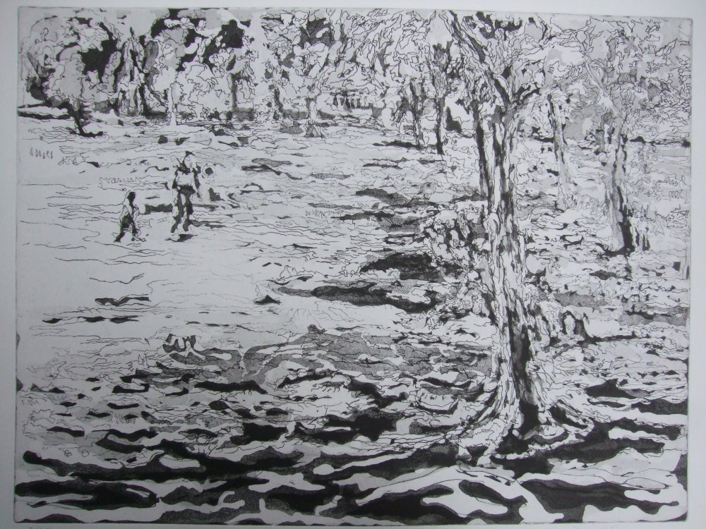 Lake Wingra Park
