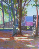 Madison Wisconsin Backyards