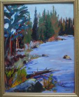 View to the East (Lake Three Island Campsite Boundary Waters)