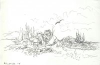 Galapagos Landscape