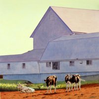 Morning Cows