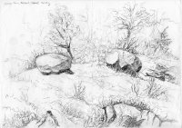 Oslebo Farm Landscape