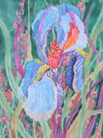 One Iris