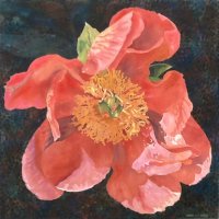 Peony