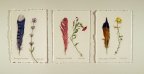 Primary Feathers Triptych