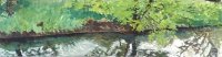 Stream bank